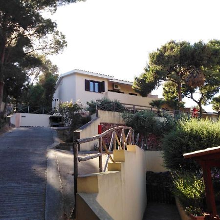 Villa Panoramica Immersa Nel Verde Porto Pino Exterior photo